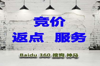 揭秘百度竞价代理：实战案例分析
